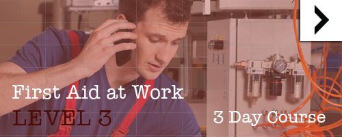 At work level 3 3-day course