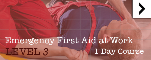 emergency at work level 3 1-day