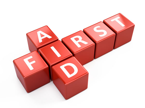 First aid training at Theorem Health
