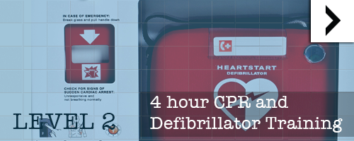 four hour cpr course at Theorem Health