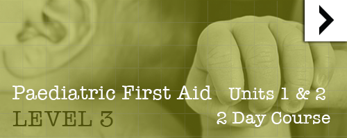 Paediatric level 3 2 day course